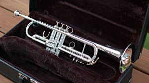 Professional Trumpet Online Buy